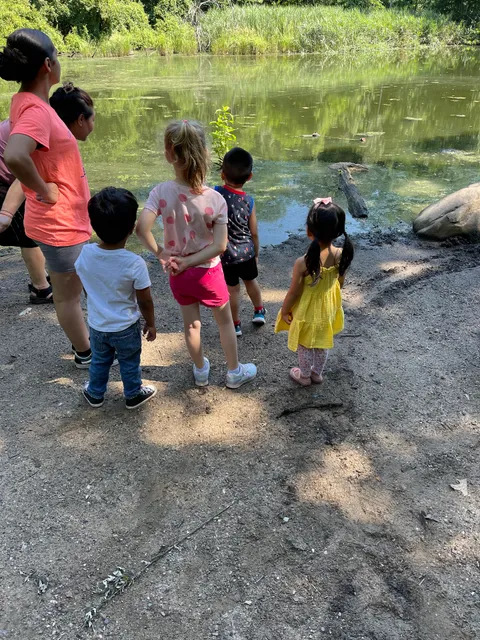 Little Forest People Daycare