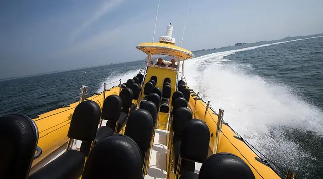 New England EcoAdventures - Kennebunkport Boat Tours