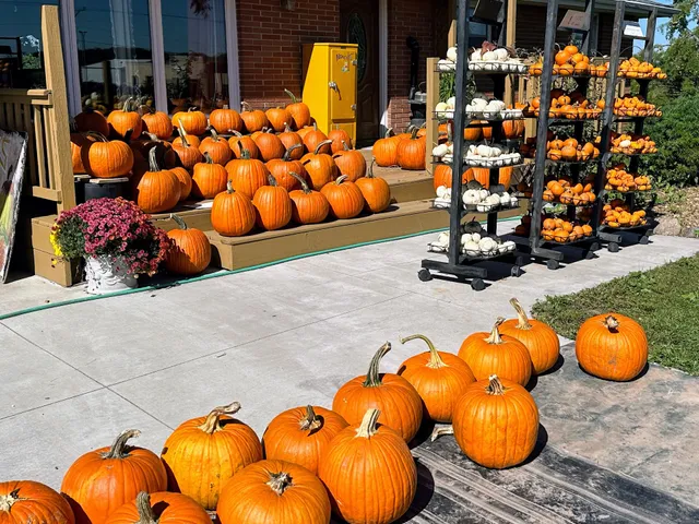 Peter's Pumpkin Patch