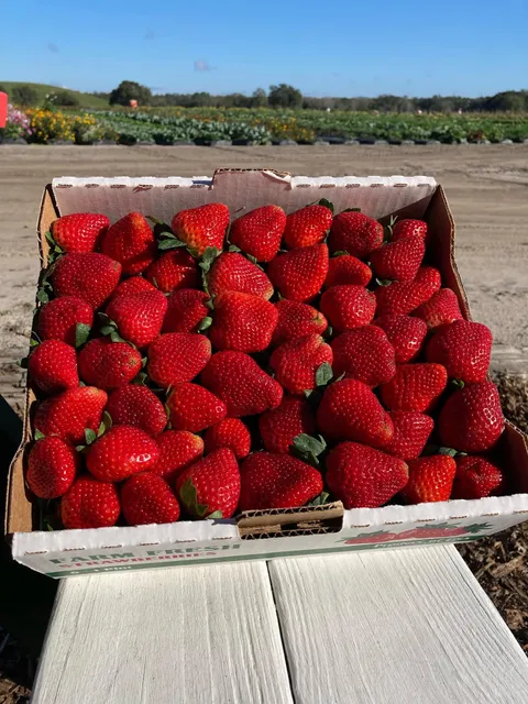 Strawberry Passion/Passion Organic Farm, LLC