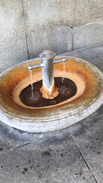 Spring №2 Charles IV