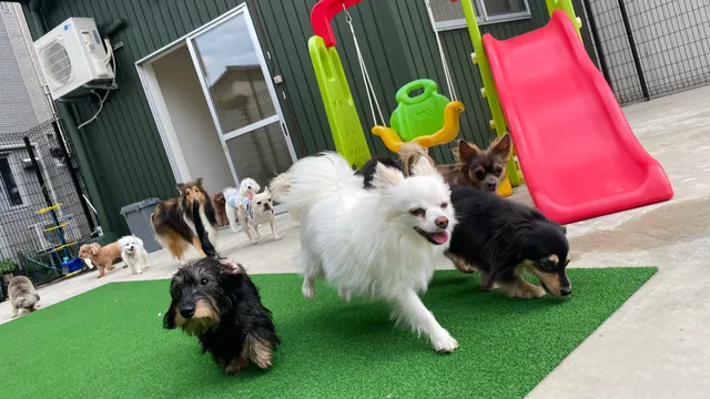 ペットホテル【MUKU: ムク】