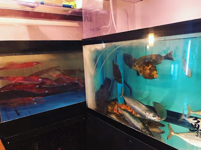 #活イカ 鮨ダイニング旨海西口本店