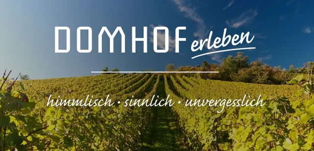 WEINGUT Domhof & SCHLAFGUT Domhof