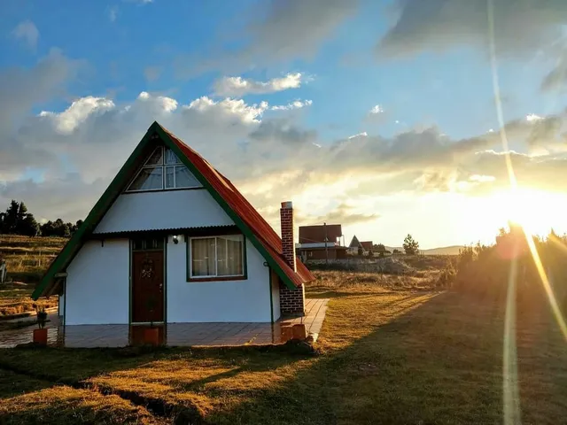 Frailejones Campestre