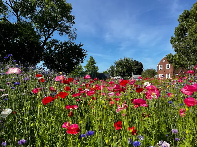 Glen Oaks Village Pollinator Garden