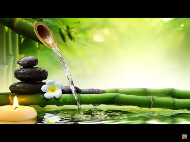 Chinese Health Massage