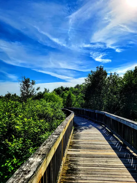 Broadlands Wetlands Preservation Area