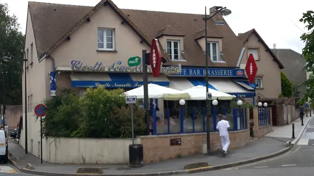 Civette Nouvelle France