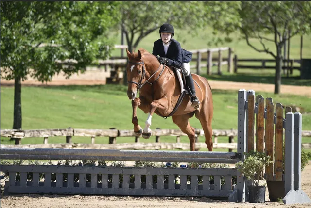 Blackstone Equestrian