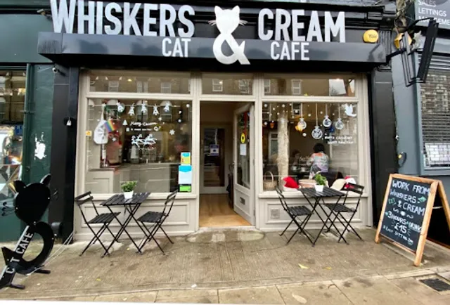 Whiskers & Cream Cat Cafe London