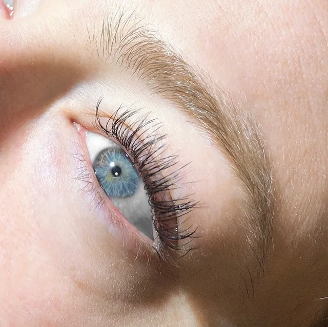 Sugar Society Beauty