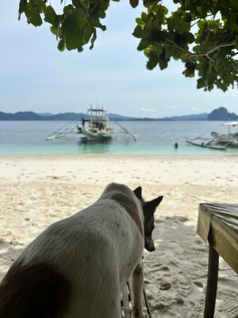 Entalula Beach Snack Bar