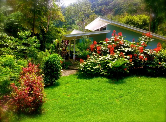 Tree of Life Cabinas