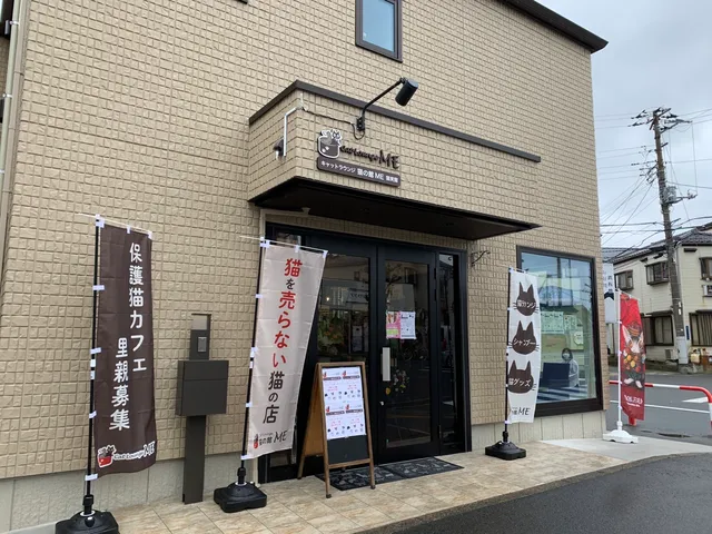 猫の館ME 猫実館