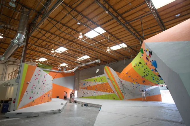 The Wall Climbing Gym