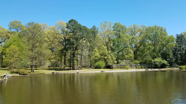 Memphis Japan Festival