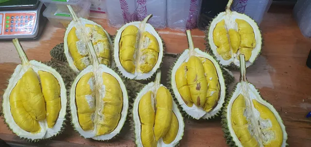 Penang Teik Zai Durian