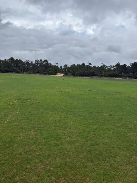 Panama City Beach Oktoberfest