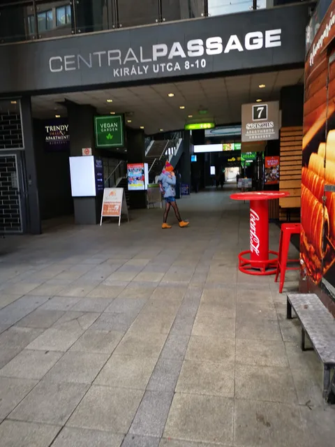 Central Passage Shopping Center