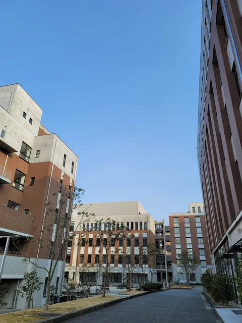 Kyūshū International University