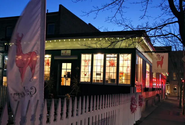 The Pink Llama Gallery