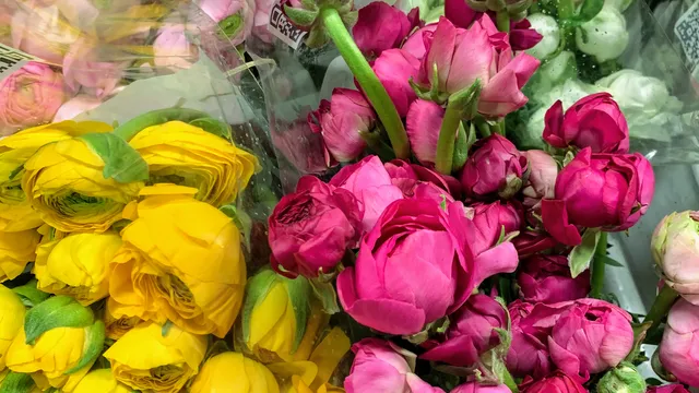 The House of Bouquets -Park Slope