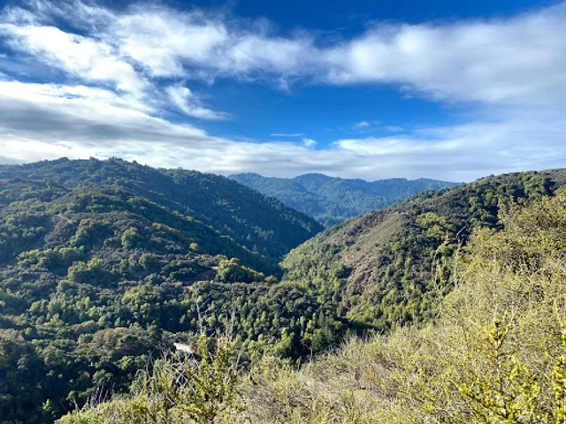 Stevens Creek Tony Look Trailhead
