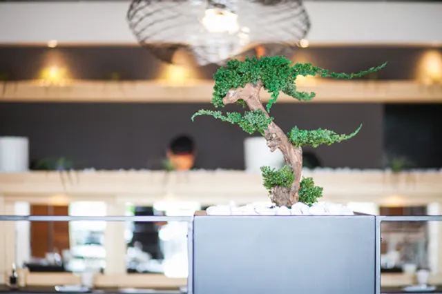 Japanese Restaurant CRU•DO