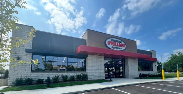 Warners' Stellian Appliance