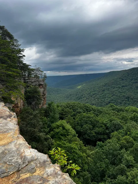 Laurel Gulf Overlook