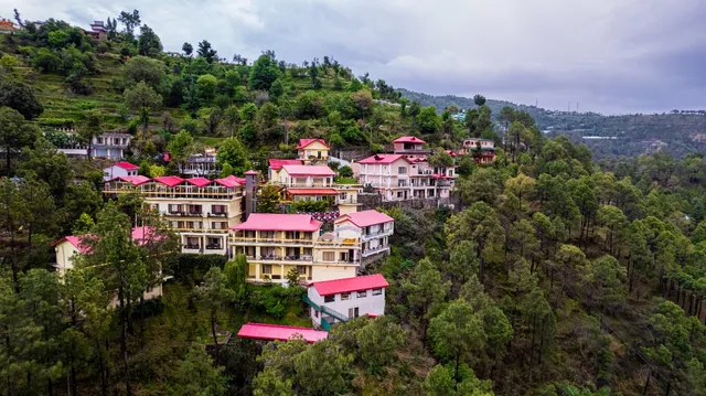 Maple Resort - Chail, Solan, Shimla