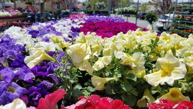 Centre Ridge Garden Center