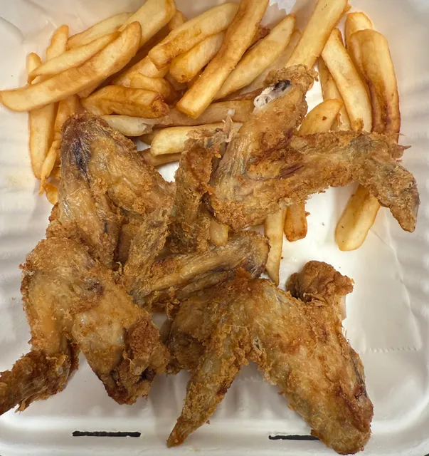 Dolphin Fish & Chicken