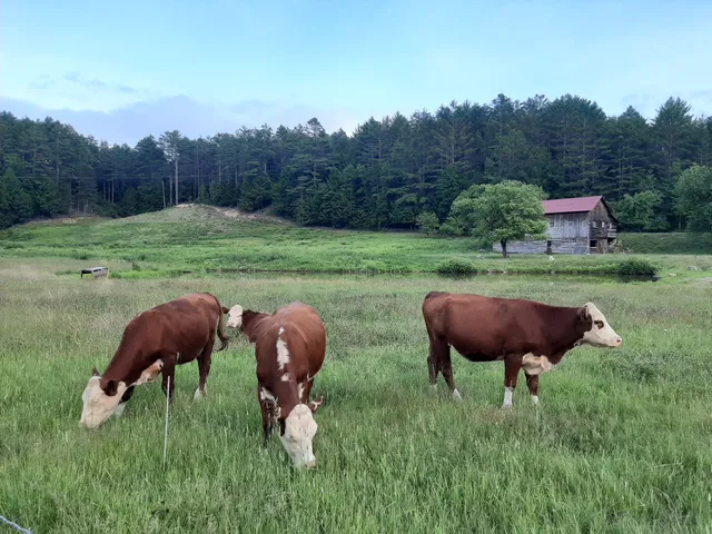 Century Gap Farm & Creekside Farm Store