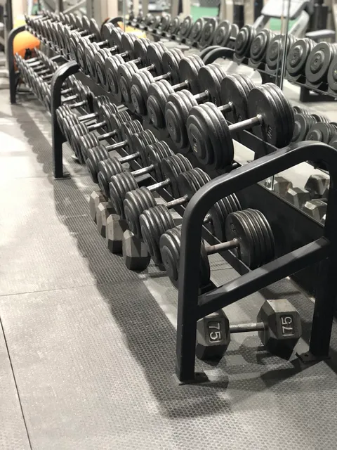 Pro1 Training+Fitness