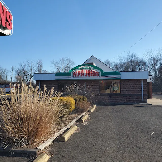 Papa Johns Pizza