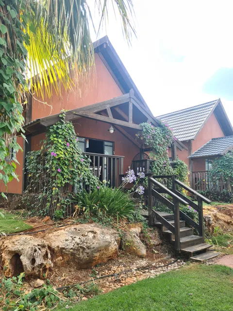 בקתות בצל הגפן