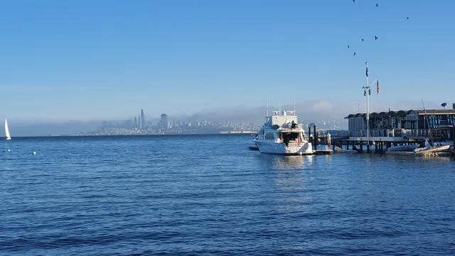 Must See - Alcatraz tours / Muir Woods and Sausalito tours