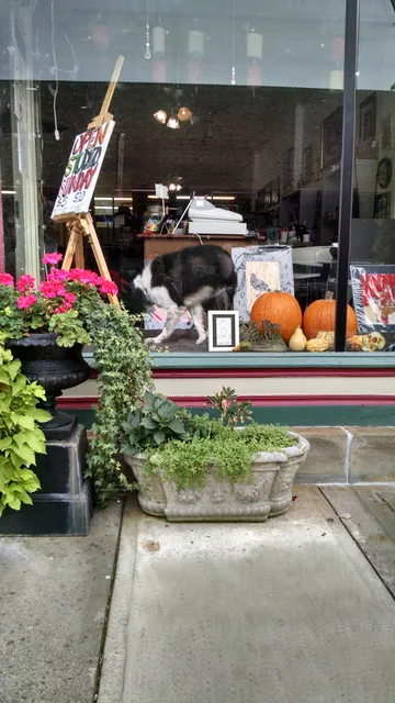 Cat's Paw Art Studio