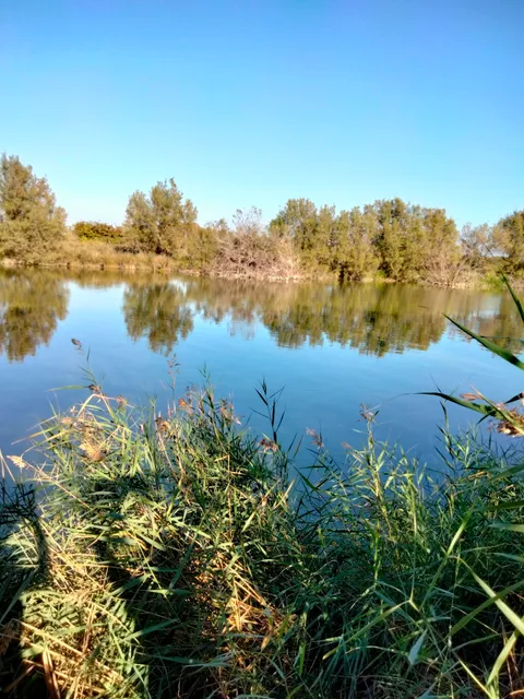Estany de la Ricarda
