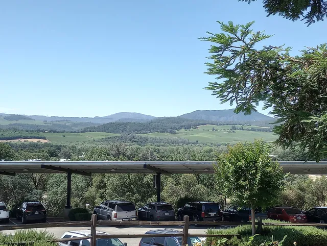 Mountain view cafe and bistro