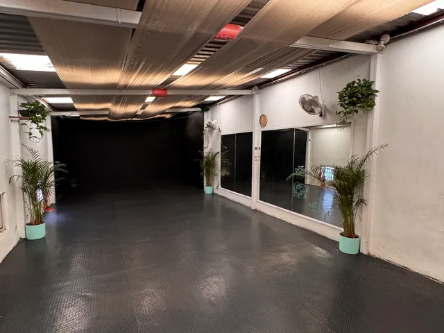 Centro Ameyalli - Yoga, Tai Chi, Eventos Culturales