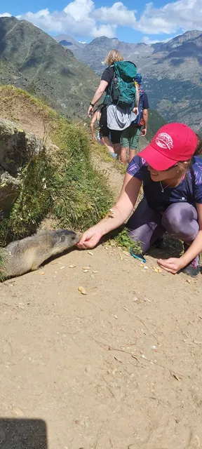 Murmeltier Spielplatz
