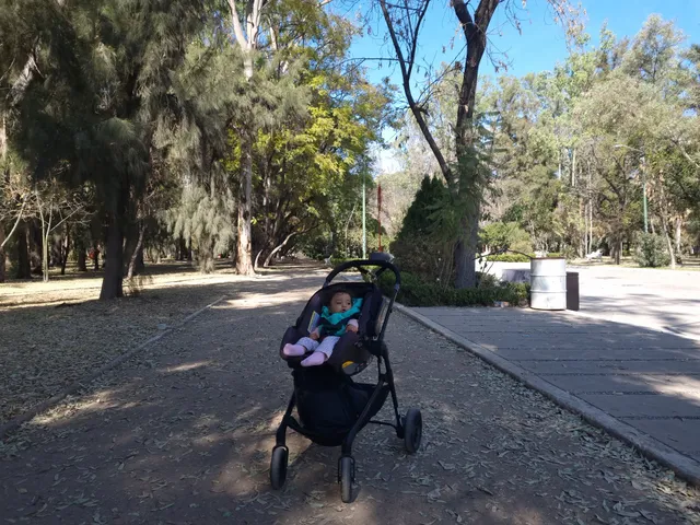 San Luis Potosí City