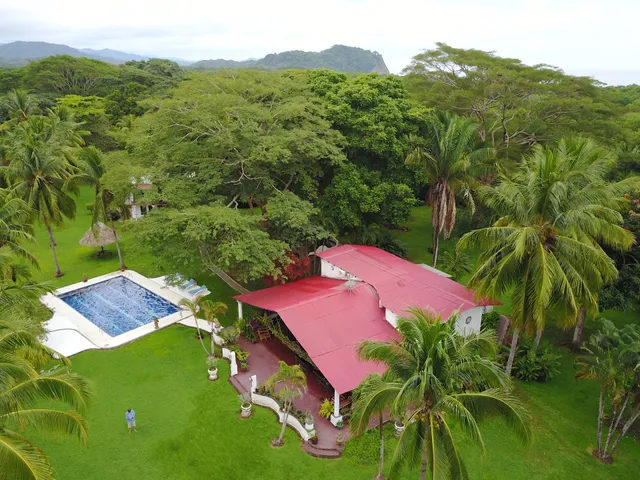 spirit of the jungle