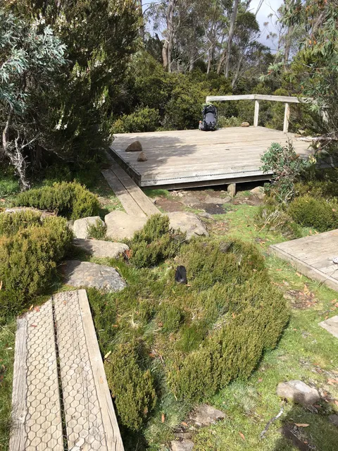 Wild Dog Creek Campsite