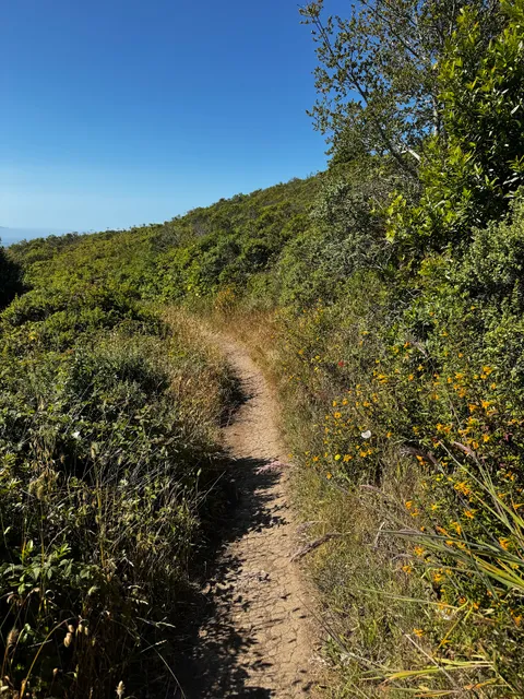 Coast View Trail
