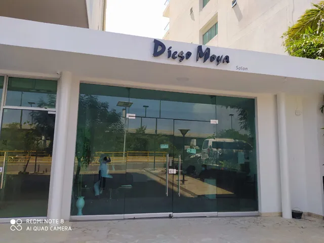 Diego Moya Salón Zona Norte