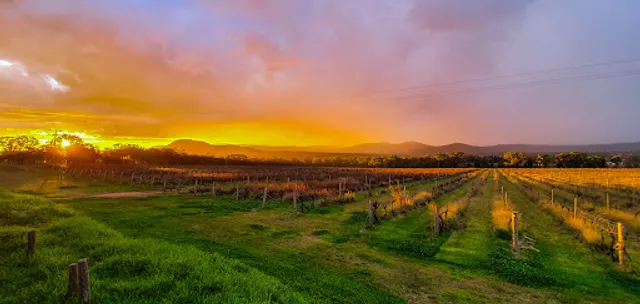 Bent Road Winery & Distillery